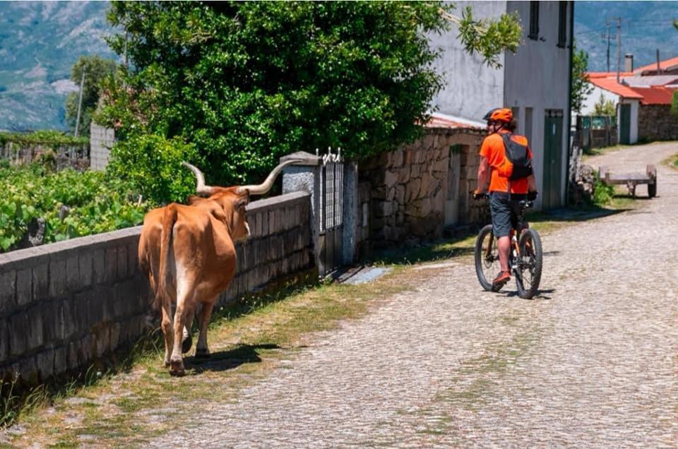 Olhares Do Lobo Villa Ponte da Barca Eksteriør billede